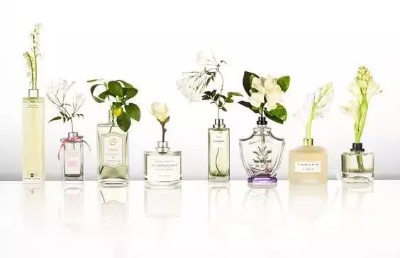 从天然萃取到生物合成：日化香精原料的创新与可持续发展